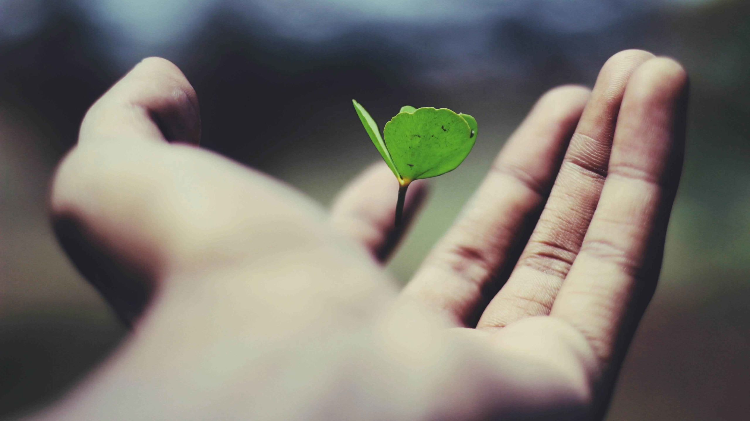 ravi-roshan-_AdUs32i0jc-unsplash-(1) Company establishment